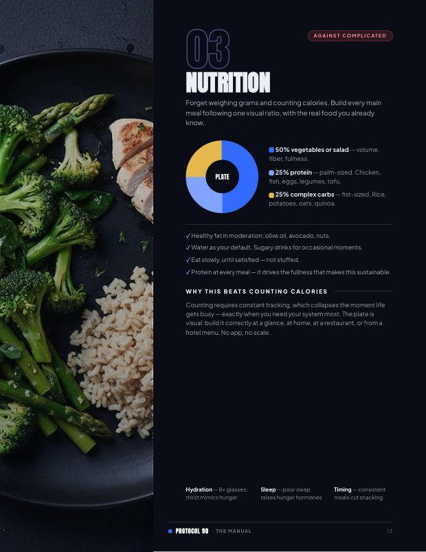 The simple plate — p.13 — a real page from the PROTOCOL 90 manual